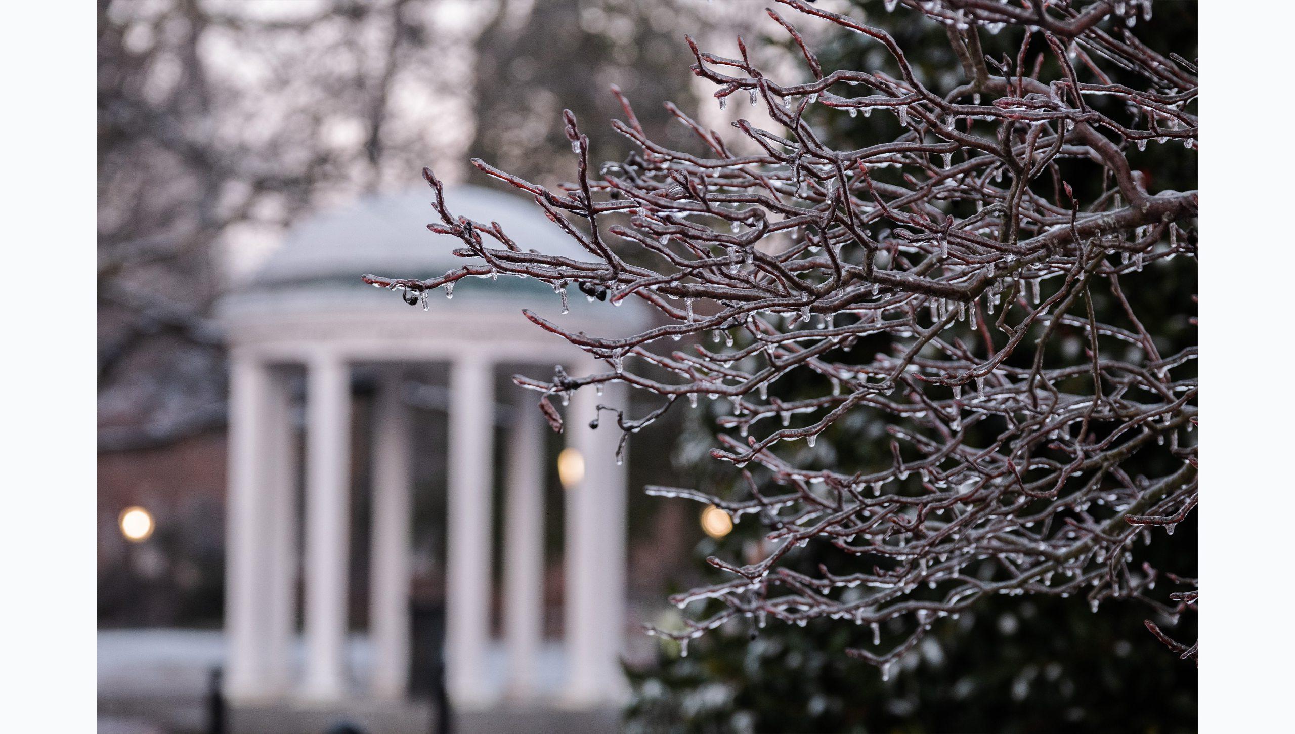 Tree limbs covered in ice and snow on the campus of U.N.C Chapel Hill. The Old Well is seen in the background.